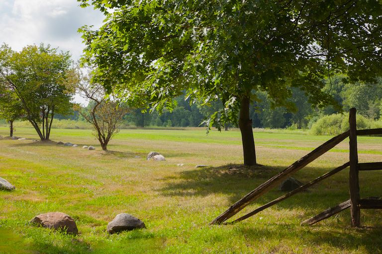 Swartz Creek Meadows